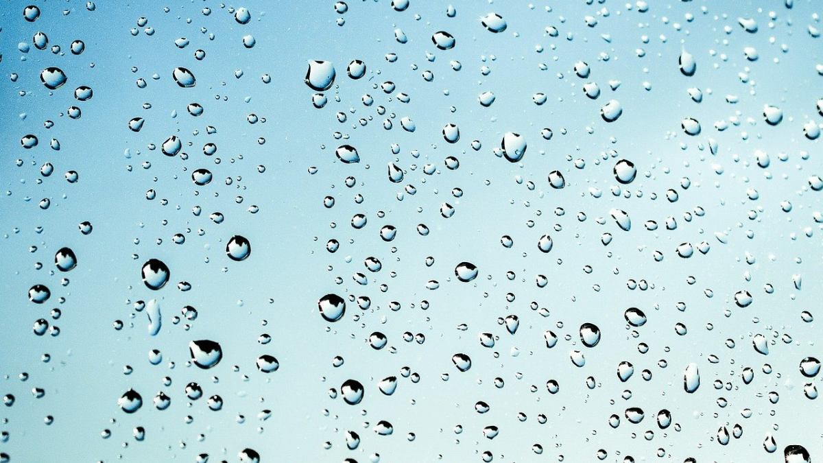 濡れたグローブの乾かし方を紹介 雨の日もこれでバッチリ ヤードブログ